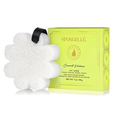 Губка для тела, пропитанная гелем для душа Spongelle White Flower Coconut Verbena, 85 г цена и информация | Масла, гели для душа | 220.lv