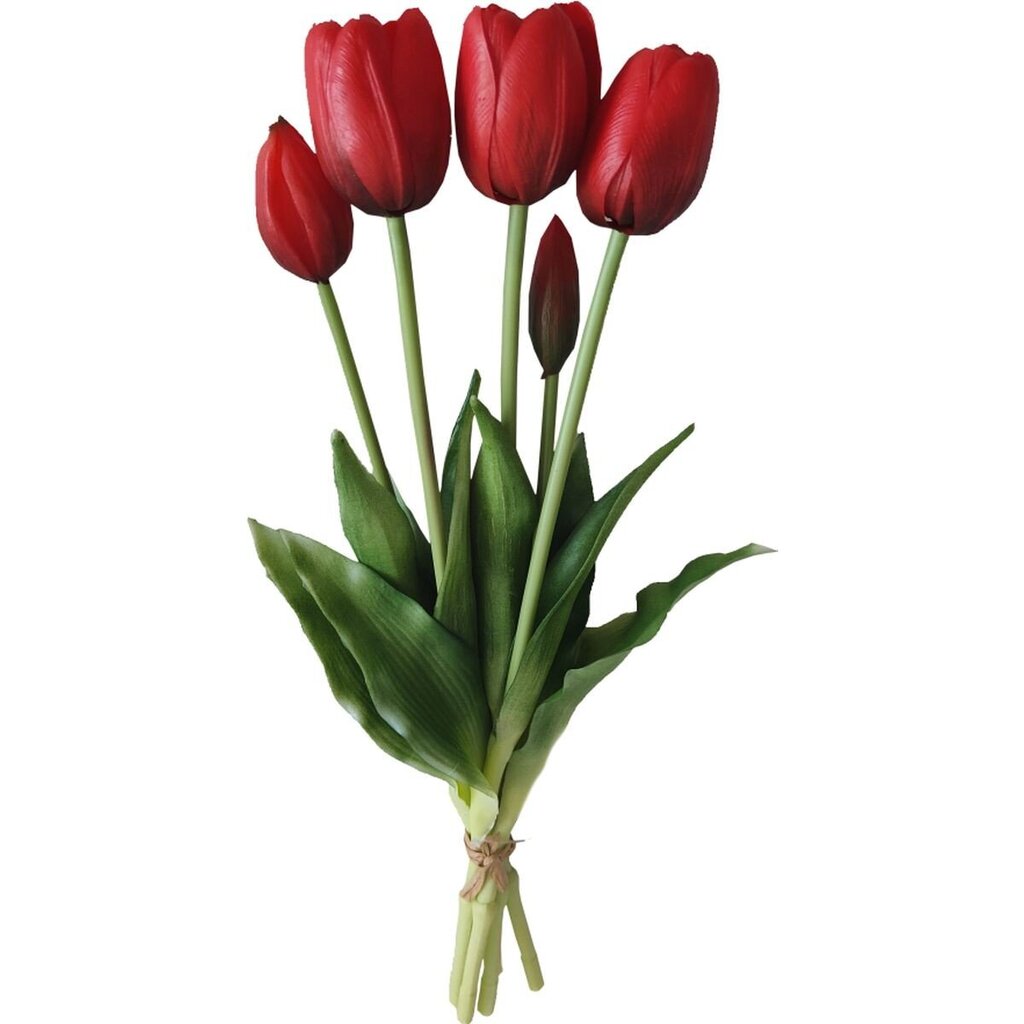 Sarkano tulpju pušķis cena un informācija | Mākslīgie ziedi | 220.lv