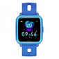 Denver SWK-110 Blue цена и информация | Viedpulksteņi (smartwatch) | 220.lv