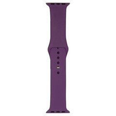 Aproce Beline pasek Apple Watch Silicone 42/44/45/49mm, Violeta cena un informācija | Viedpulksteņu un viedo aproču aksesuāri | 220.lv