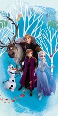 Детское полотенце Frozen, 70x140cм цена и информация | Полотенца | 220.lv