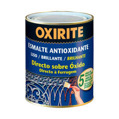 Antioksidanta emalja OXIRITE 5397815 750 ml Pērļu pelēks cena un informācija | Krāsas | 220.lv
