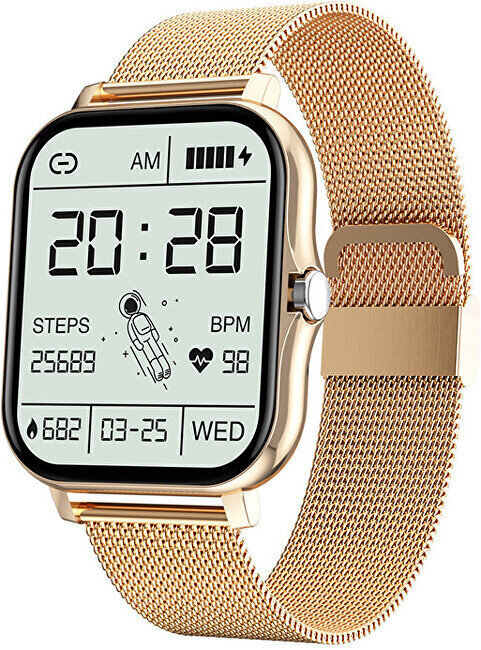 Wotchi WO2GT Gold cena un informācija | Viedpulksteņi (smartwatch) | 220.lv