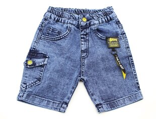 Джинсовые шорты для мальчиков, синие цена и информация | Zēnu šorti | 220.lv