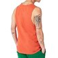 T-krekls vīriešiem Superdry Vle Vestes, oranžs цена и информация | Vīriešu T-krekli | 220.lv