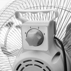 Ventilators Orbegozo cena un informācija | Ventilatori | 220.lv