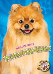 Pomeranians цена и информация | Книги для подростков и молодежи | 220.lv