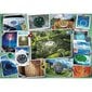 Puzzle 1000 gabali Jautrs fotogrāfijas цена и информация | Puzles, 3D puzles | 220.lv
