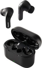 Panasonic беспроводные наушники RZ-B310WDE-K, черный цена и информация | Наушники с микрофоном Asus H1 Wireless Чёрный | 220.lv