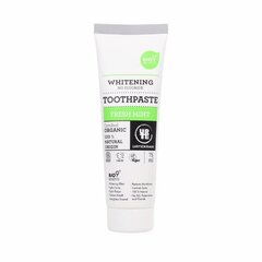 Toothpaste Fresh Mint, 75ml цена и информация | Зубные щетки, пасты | 220.lv