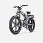 Elektriskais velosipēds Engwe X26, 26", pelēks, 1000W, 28Ah cena un informācija | Elektrovelosipēdi | 220.lv