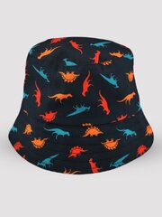 Шляпа  222636 цена и информация | Шапки, перчатки, шарфы для мальчиков | 220.lv