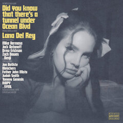 Lana Del Rey - Did You Know That There's A Tunnel Under Ocean Blvd (2LP) cena un informācija | Vinila plates, CD, DVD | 220.lv