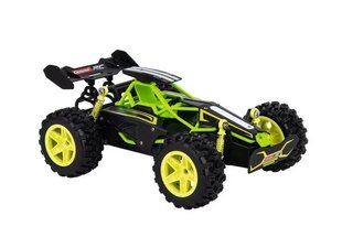 Автомобиль-багги RC Lime 2,4 ГГц цена и информация | Игрушки для мальчиков | 220.lv