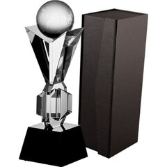 Stikla trofeja ar futrāli, 35 cm cena un informācija | Citas oriģinālas dāvanas | 220.lv