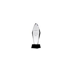 Gravēta stikla trofeja cena un informācija | Citas oriģinālas dāvanas | 220.lv