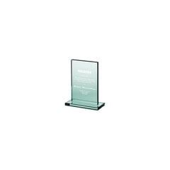 Gravēta stikla trofeja cena un informācija | Citas oriģinālas dāvanas | 220.lv