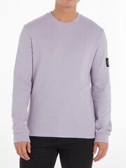 Vīriešu T-krekls CALVIN KLEIN JEANS Waffle LS Lavender Aura 560076582 cena un informācija | Vīriešu T-krekli | 220.lv