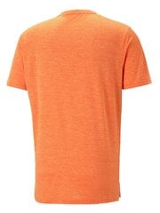 Vīriešu T-krekls PUMA Train Fav Heather Cat Tee Chili Powder Orange 234238686 cena un informācija | Vīriešu T-krekli | 220.lv
