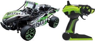 Tālvadības mašīna Buggy Extreme D5, zaļa cena un informācija | Rotaļlietas zēniem | 220.lv