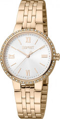 Женские часы Esprit ES1L333M0075 цена и информация | Женские часы | 220.lv
