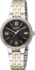 Sieviešu pulkstenis Esprit ES1L333M0095 cena un informācija | Sieviešu pulksteņi | 220.lv