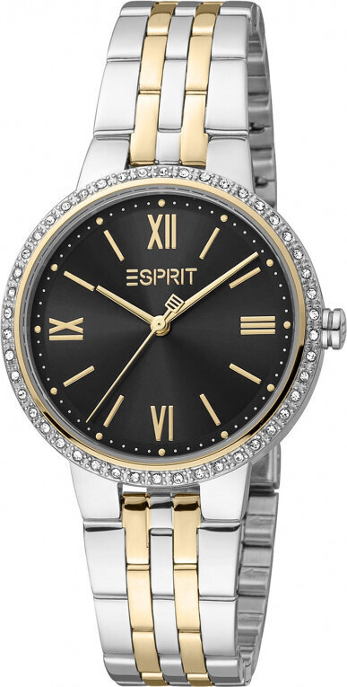 Sieviešu pulkstenis Esprit ES1L333M0095 цена и информация | Sieviešu pulksteņi | 220.lv