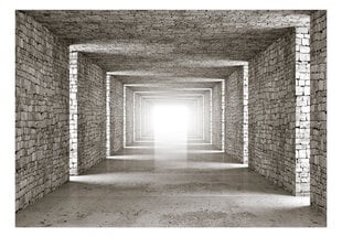 Fototapetes 3D akmens tunelis, 350x256 cm cena un informācija | Fototapetes | 220.lv
