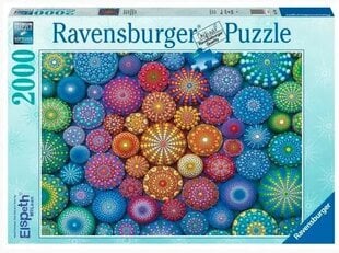 Пазл Ravensburger Rainbow Mandalas, 2000 д. цена и информация | Пазлы | 220.lv