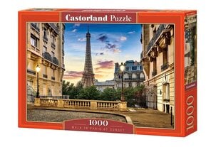 Пазл 1000 деталей Прогулка по Парижу на закате цена и информация | Пазлы | 220.lv