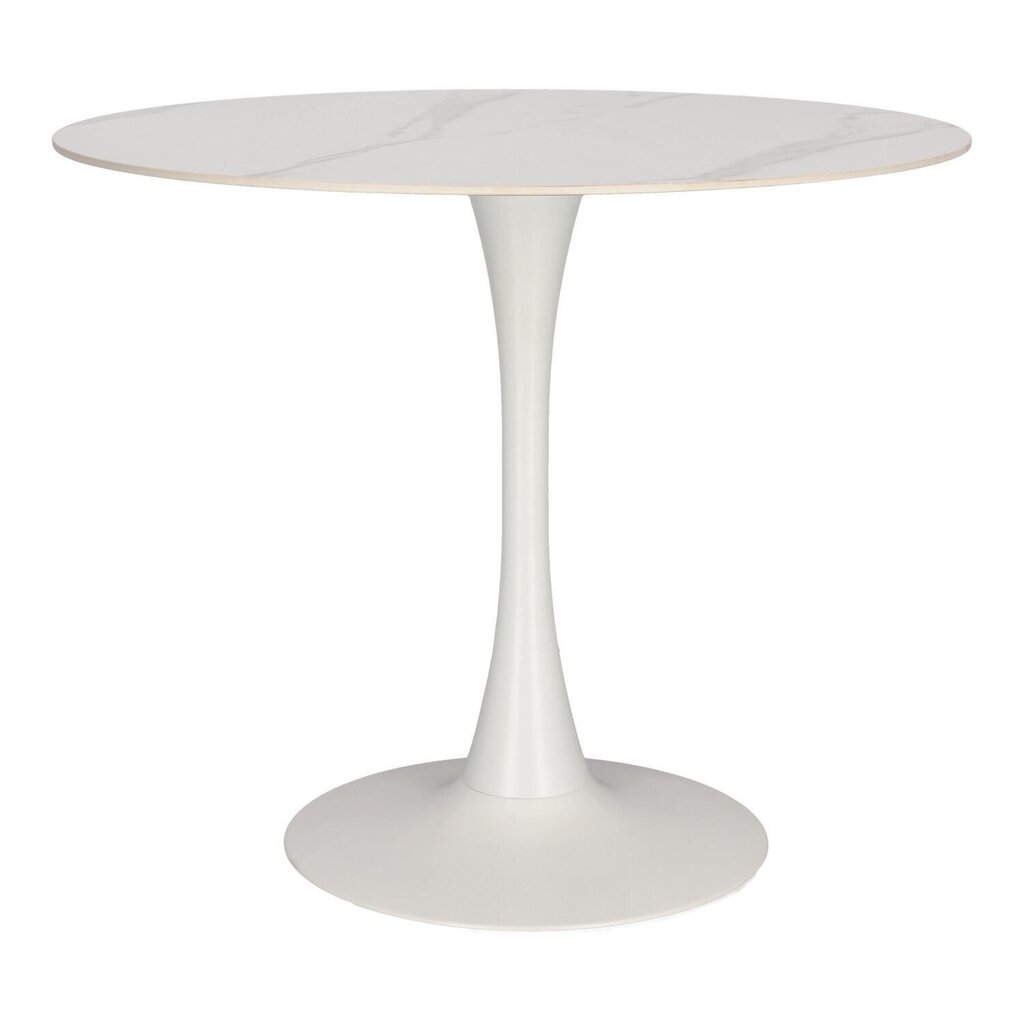 Ēdamistabas galds Skinny Premium Stone Simplet, balts cena un informācija | Virtuves galdi, ēdamgaldi | 220.lv