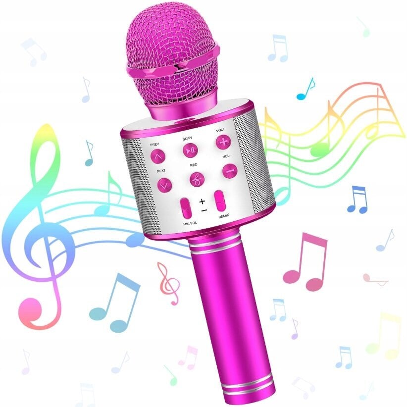 Karaoke mikrofons ar skaļruni, rozā komplekts ar korpusu cena un informācija | Attīstošās rotaļlietas | 220.lv