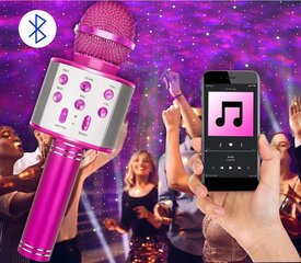 Karaoke mikrofons ar skaļruni, rozā komplekts ar korpusu cena un informācija | Attīstošās rotaļlietas | 220.lv