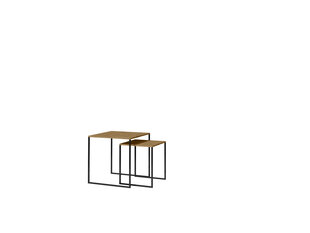 2-u kafijas galdiņu komplekts ADRK Furniture Aria, brūns цена и информация | Журнальные столики | 220.lv