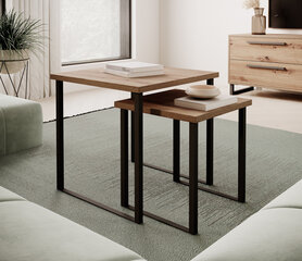2-u kafijas galdiņu komplekts ADRK Furniture Aria, brūns cena un informācija | Žurnālgaldiņi | 220.lv