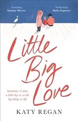 Little Big Love цена и информация | Фантастика, фэнтези | 220.lv