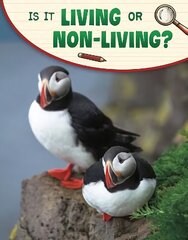 Is It Living or Non-living? цена и информация | Книги для подростков и молодежи | 220.lv