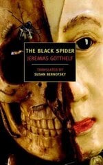 Black Spider Main cena un informācija | Fantāzija, fantastikas grāmatas | 220.lv