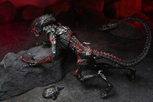 Night Cougar Alien Puma Kenner Tribute цена и информация | Атрибутика для игроков | 220.lv