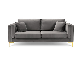 Трехместный диван Luis 3, светло-серый/золотой цвет цена и информация | Диваны | 220.lv