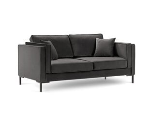 Двухместный диван Luis 2, темно-серый/черный цвет цена и информация | Диваны | 220.lv