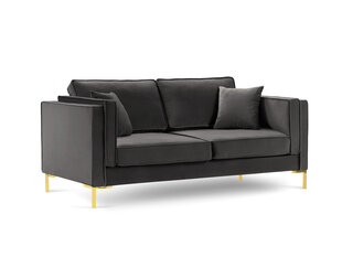 Двухместный диван Luis 2, тёмно-серый/золотой цвет цена и информация | Диваны | 220.lv