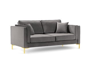 Divvietīgs dīvāns Luis 2, gaiši pelēks/zeltains цена и информация | Диваны | 220.lv