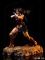 Zack Snyder 1/10 Wonder Woman cena un informācija | Datorspēļu suvenīri | 220.lv