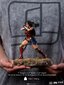 Zack Snyder 1/10 Wonder Woman cena un informācija | Datorspēļu suvenīri | 220.lv