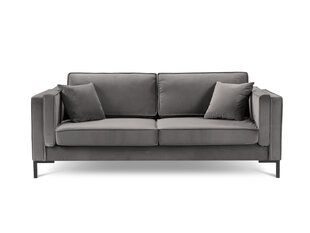 Trīsvietīgs dīvāns Luis 3, gaiši pelēks/melns цена и информация | Диваны | 220.lv