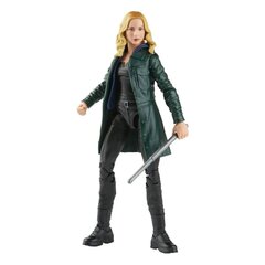 Marvel Legends Series Disney Plus Sharon Carter cena un informācija | Datorspēļu suvenīri | 220.lv