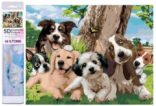 Алмазная мозаика - семейство собак цена и информация | Алмазная мозаика | 220.lv