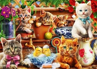 Алмазная мозаика - скребки для кошек цена и информация | Алмазная мозаика | 220.lv