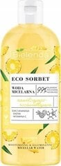 Micelārais ūdens Bielenda Eco Ananasu sorbets, 500 ml cena un informācija | Sejas ādas kopšana | 220.lv